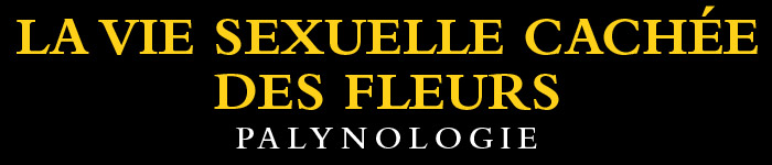 La vie sexuelle cachée des fleurs - Palynologie - Rob Kesseler et Madeline Harley - éditions Télémaque